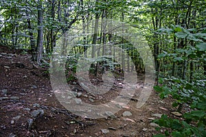 Small waterfall in Santa Fe de Montseny, in the province of Barcelona, Catalonia, Spain.