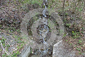 Small waterfall and slope with spring plants and trees