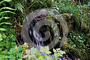 Small waterfall spotted in a park in La Bresse