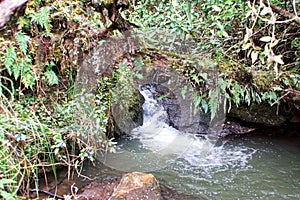 Small waterfall on a stream