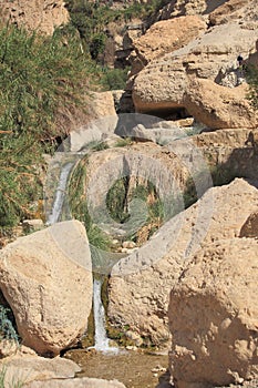 Small Waterfall & Stream in Ein Gedi Oasis