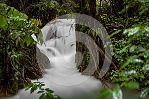 Small waterfall, stream, water flow in the jungle