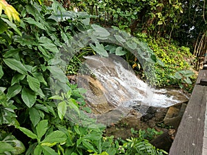 Small waterfall at Konoko Falls in Jamaica