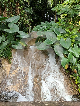 Small waterfall at Konoko Falls in Jamaica