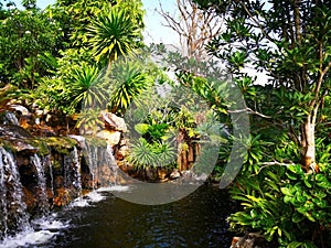 The small waterfall surrounded by a variety of shrubs, which are