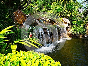 The small waterfall surrounded by a variety of shrubs, which are