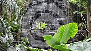 Small waterfall in the tropical jungle