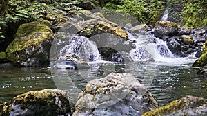 A small waterfall rushes through the lush green bushes and over moss covered boulders.