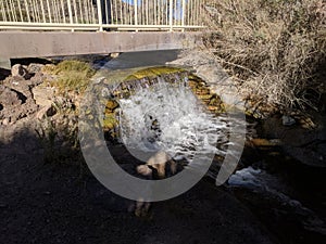 Small waterfall under bridge in the Nevada desert