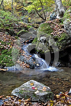 Small Waterfall and Water Creek with Fall Maple Leaves
