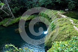 Small waterfall in a wild