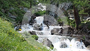 Small waterfalls of an alpine mountain stream with fresh and bubbling water