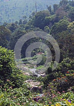 A small waterfalls with hill trees