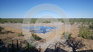 Small waterpool in Etosha National Park