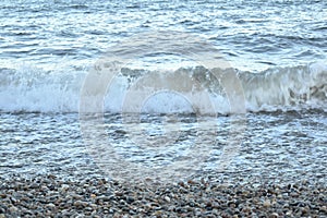 A small wave approaching the shore