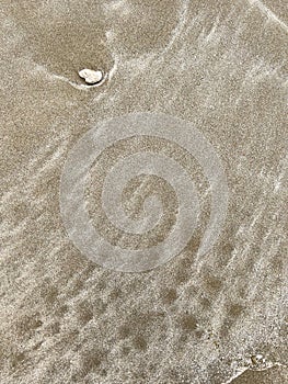 Small wave of water on clear sandy beach