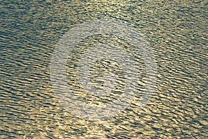 Small waves abstract or rippled water texture background, lake, sea or river