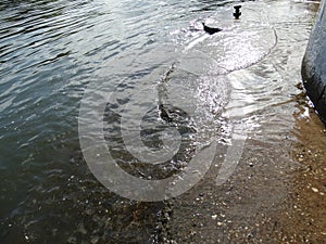 Small waves in the city river.