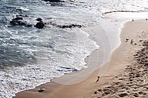 Small waves on the edge of a beach. Sunny day