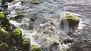 Small waves hitting the mossy rocks by the coast on a summer day