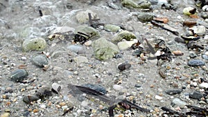 Small waves over rocks on the white sand beach shore