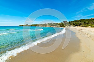 Small waves in Rena Bianca beach in Costa Smeralda