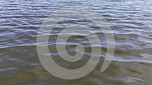 Small waves on the surface of a pond or lake. Water and waves screensaver