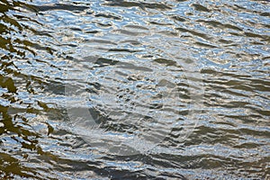 Small waves on water surface