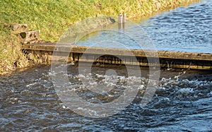 Small weir in a Dutch stream