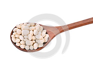 Small white beans, haricot, white pea, white kidney or Cannellini Purgatorio beans in wooden spoon on white background.