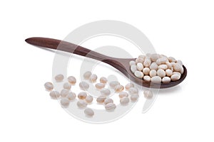 small white beans, haricot, white pea, white kidney or cannellini purgatorio beans in wooden spoon isolated on white background