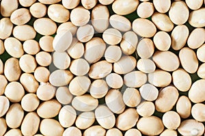 Small white beans of Nevi variety close-up. Macro shot photo