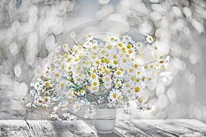 Small white daisies in a glass jar on a white table. Soft focus, bokeh background