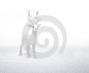 Small white deer standing in the snow