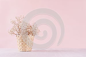 Small white dried flowers in beige wicker basket on soft pink pastel background. Fresh light gentle background.