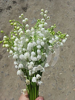 Small white flowers bouchet