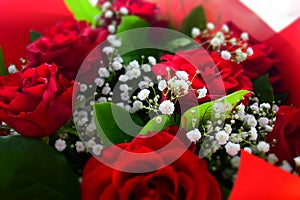 Small White Flowers in a Bouquet of Red Roses. Stock Photo