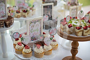 Small white and green cakes at a wedding candy bar