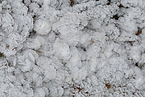 Small white ice crystals flowers and leaves forming on the ground