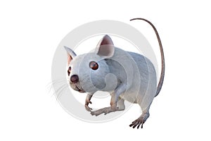 Small white mouse 3D illustration isolated on white background
