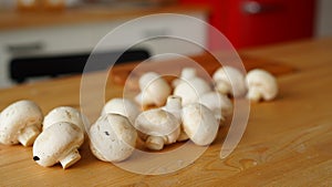 Close up of mushrooms on kitchen table. Small white mushrooms scattered on table in kitchen.