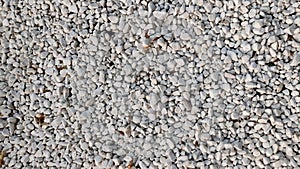 Small white pebbles, decoration for a city flower bed with small white stones