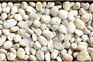 Small white pebbles. Natural abstract background