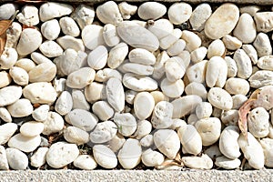 Small white pebbles. Natural abstract background