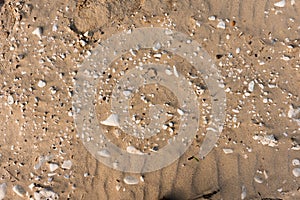 Small white pebbles shine through clay-sandy soil