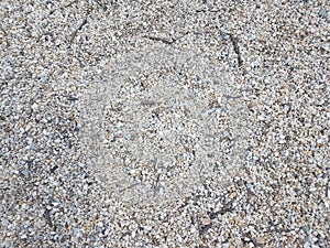 Small white pebbles and stones or background