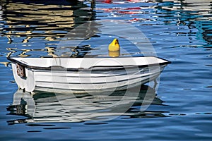 Small White Skiff