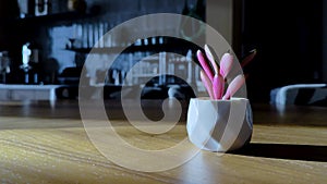 Small white vase with pink succulent plant.