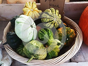 A small wicker basket of autumn gourds.
