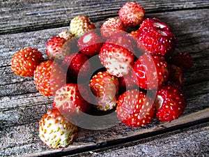 Small wild strawberry